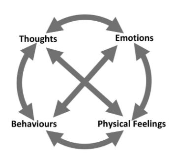 How are emotions and thoughts connected Erasmus+ Primera KA2 Step training emotional intelligence